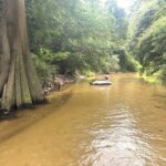 River Life in Your Own Back Yard - Tubing Louisiana Rivers