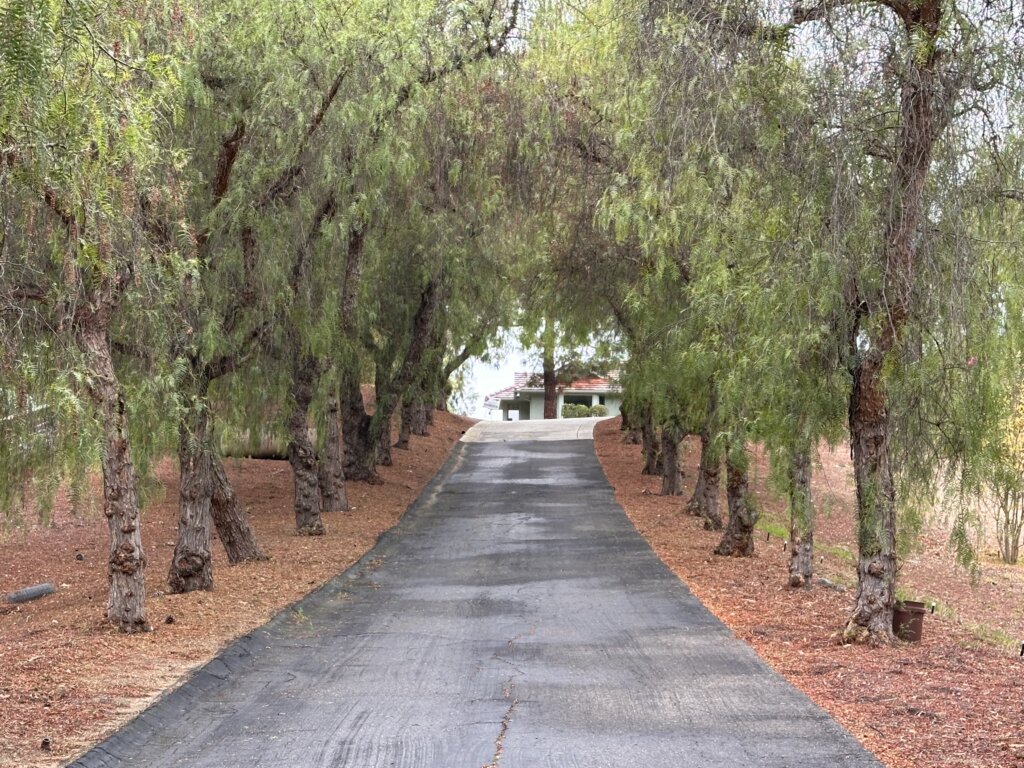 Gated Tree-Lined Driveway Custom-Built Estate Fallbrook