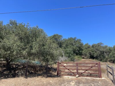 Fallbrook acreage for sale – panoramic Rainbow Heights land