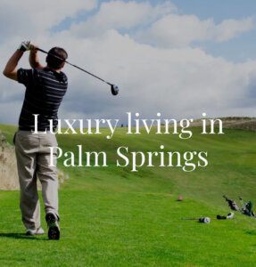 Palm Spring | Marty Halfon