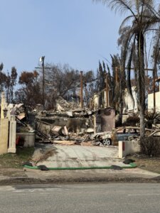 Palisades Fire | Marty Halfon