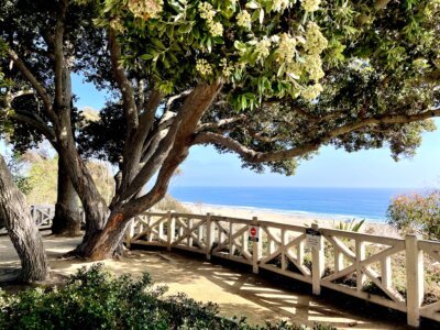 Palisades Park along Ocean Avenue Marty Haflon