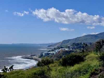 Palisades Bluffs | Feb 18, 2026 | Marty Halfon