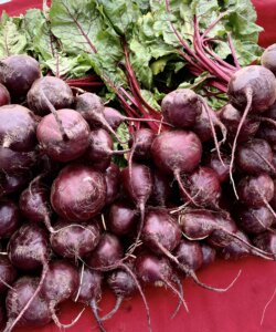 Topanga farmers market