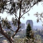 Beverly Hills View Lot | 1309 Laurel Way