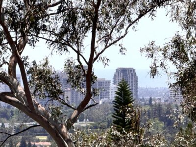 Beverly Hills View Lot | 1309 Laurel Way