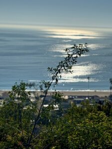 Asilomar View Park | The Bluffs | Pacific Palisades