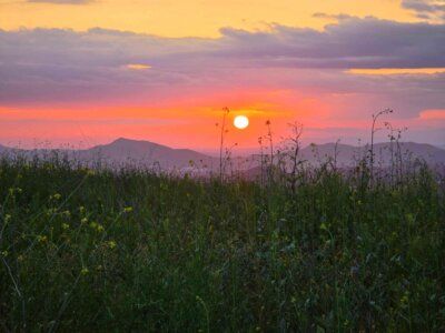 Raquel Magro Northridge Ca 1c45c8323c846069e75f215e62dc784f