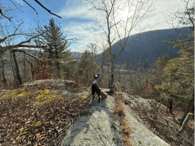 Bonnie Sue Bevans Kent Ct Buddy Zee