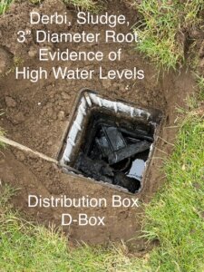 Bonnie Sue Bevans Kent Ct Failed D Box