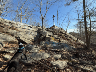 Bonnie Sue Bevans Kent Ct Featured Pic