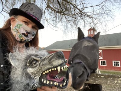 Bonnie Sue Bevans Kent Ct Horse