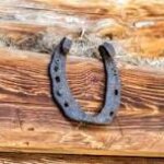 Bonnie Sue Bevans Kent Ct Horse Shoe 