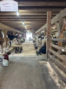 Bonnie Sue Bevans Kent Ct Img 4292