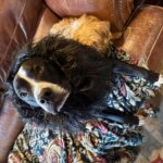 Bonnie Sue Bevans Kent Ct Img 5435