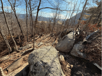 Bonnie Sue Bevans Kent Ct Pictubeauty