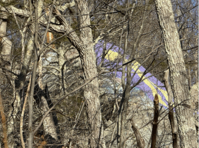 Bonnie Sue Bevans Kent Ct Pictukksn