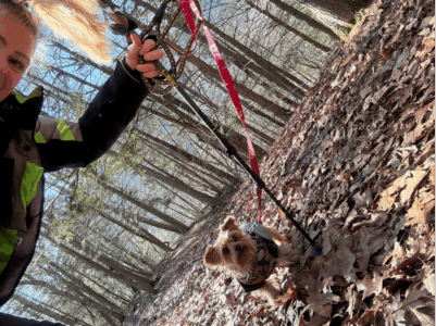 Bonnie Sue Bevans Kent Ct Picture1