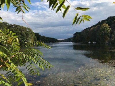 Bonnie Sue Bevans Kent Ct Sherman Candlewood