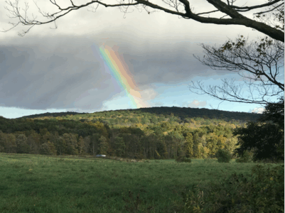 Bonnie Sue Bevans Kent Ct A Rainbow 