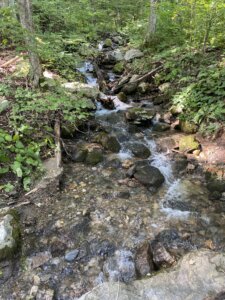 Bonnie Sue Bevans Kent Ct Brook