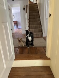 Bonnie Sue Bevans Kent Ct Bud Zee Sherman