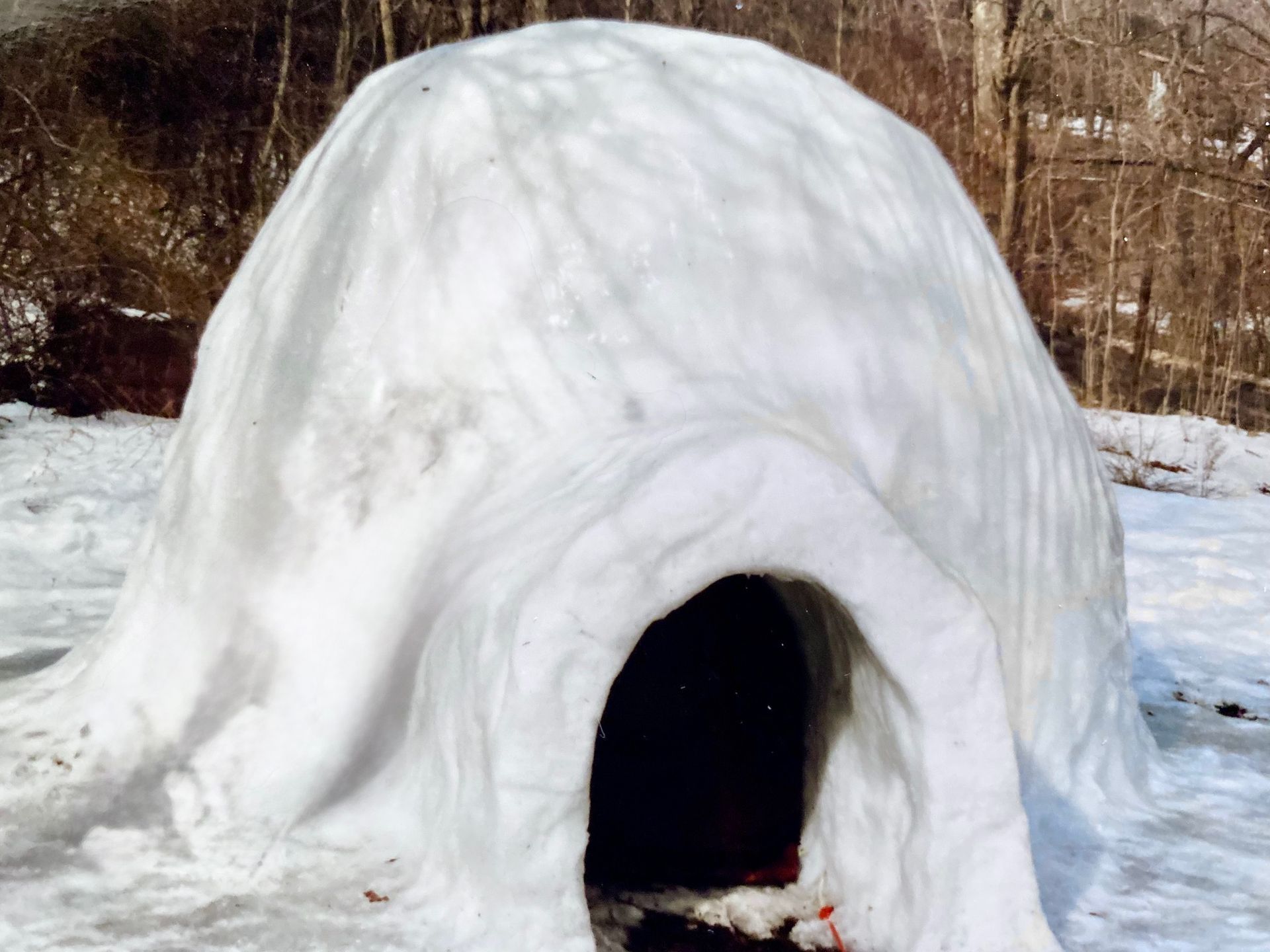Igloo
