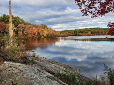 Bonnie Sue Bevans Kent Ct Warren Woods 