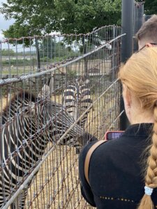 Bonnie Sue Bevans Kent Ct Zebra