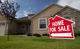 Dorothy Flair Brandon Fl Homeforsale