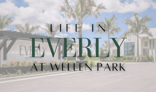 Entrance and community view of Everly at Wellen Park featuring palm trees, modern homes, and luxury Florida living.