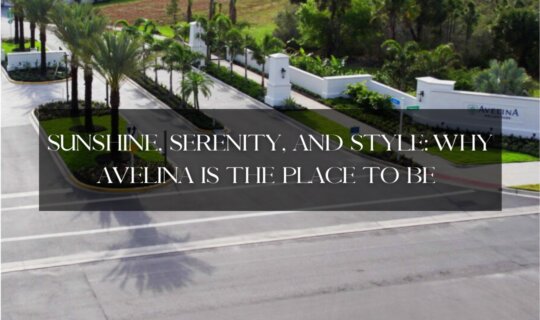 Entrance to Avelina at Wellen Park community in Florida with palm trees and modern design.