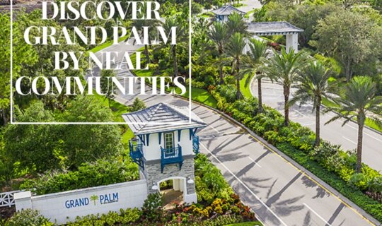 Aerial view of Grand Palm community entrance by Neal Communities in Venice, Florida, showcasing palm-lined streets and lush landscaping.