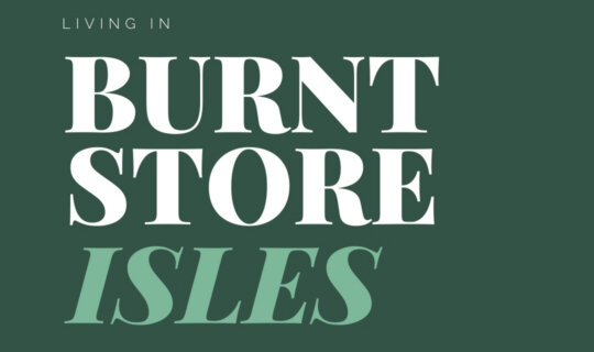Cole Murray North Port Fl New Blog Banner Template