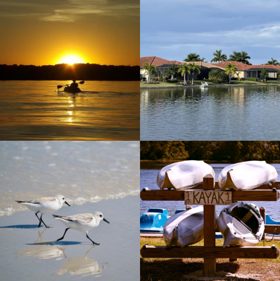 Cole Murray North Port Fl Image 2026 03 23 131536856