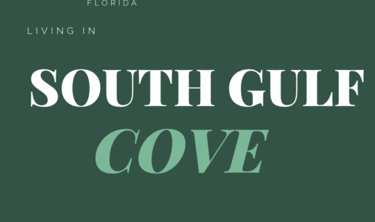 Cole Murray Realtor At Murray Team North Port Fl 1