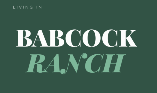 Cole Murray Realtor At Murray Team North Port Fl 1