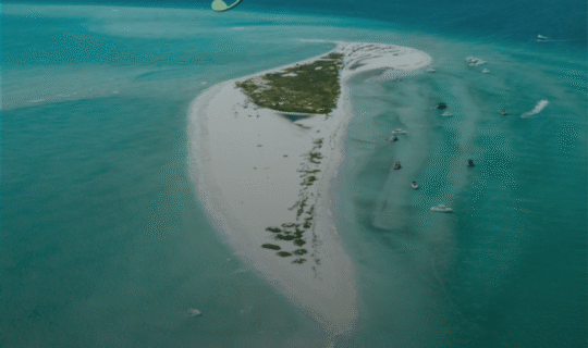 Cole Murray Realtor At Murray Team North Port Fl Things To Do