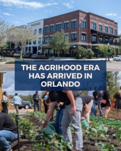 Ashley Pun Winter Garden Fl Gs Onepager The Agrihood Era Has Arrived In Orlando 2